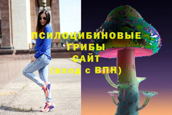 соль ск Алексеевка