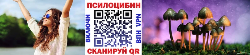 цена наркотик  ссылка на мегу ссылки  Галлюциногенные грибы мицелий  Егорьевск 